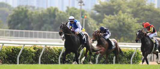 HKIR（香港国際競走）2023回顧~香港ヴァーズ~