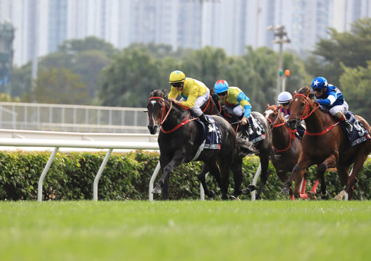 HKIR（香港国際競走）2023回顧~香港スプリント~