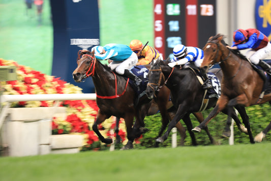 HKIR（香港国際競走）2023回顧~香港カップ~